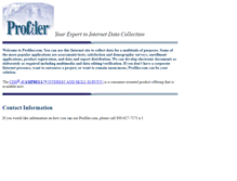 Tablet Screenshot of profiler.com